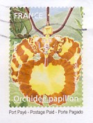 N140B.jpg (11477 octets)