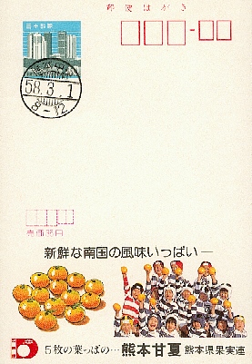 N11.jpg (77961 octets)