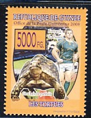 GE11.jpg (15398 octets)