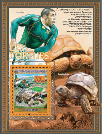 GE7.jpg (132023 octets)