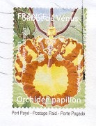 N140A.jpg (11916 octets)