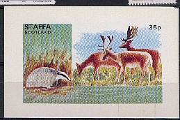 animaux4.jpg (99937 octets)