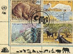 animaux62.jpg (109449 octets)