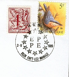 Elections5.jpg (41192 octets)