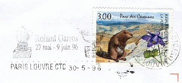 Tennis7.jpg (39956 octets)