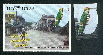 Honduras-perroquet10.jpg (74367 octets)