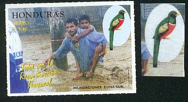 Honduras-perroquet6.jpg (74809 octets)