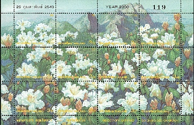 fleurs10.jpg (162592 octets)