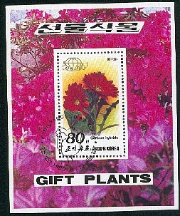 fleurs12.jpg (139352 octets)