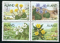 fleurs13.jpg (94551 octets)