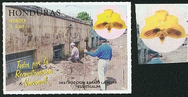 fleurs23.jpg (101374 octets)