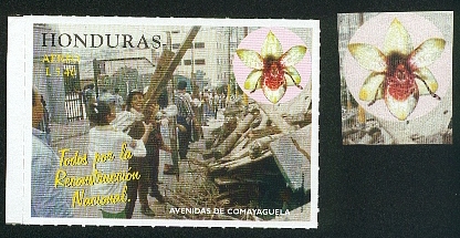 fleurs24.jpg (113218 octets)