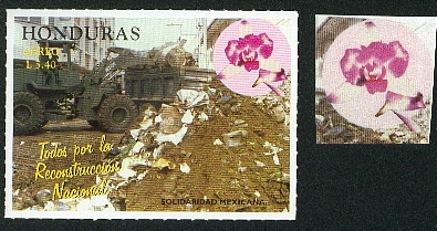 fleurs26.jpg (111673 octets)