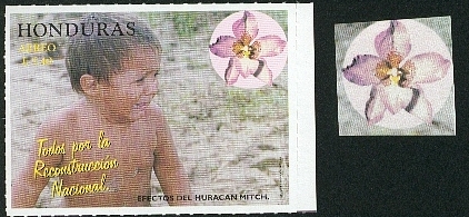 fleurs27.jpg (100187 octets)