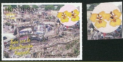 fleurs28.jpg (111876 octets)