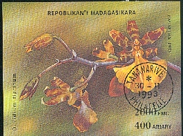 fleurs8.jpg (112944 octets)