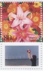 chineP1a.jpg (33800 octets)