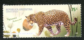 Argentine.jpg (19025 octets)