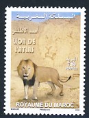 maroc.jpg (11175 octets)