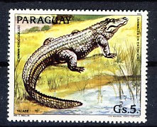 paraguay.jpg (23565 octets)