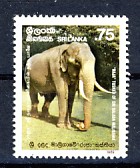 sri_lanka.jpg (13415 octets)